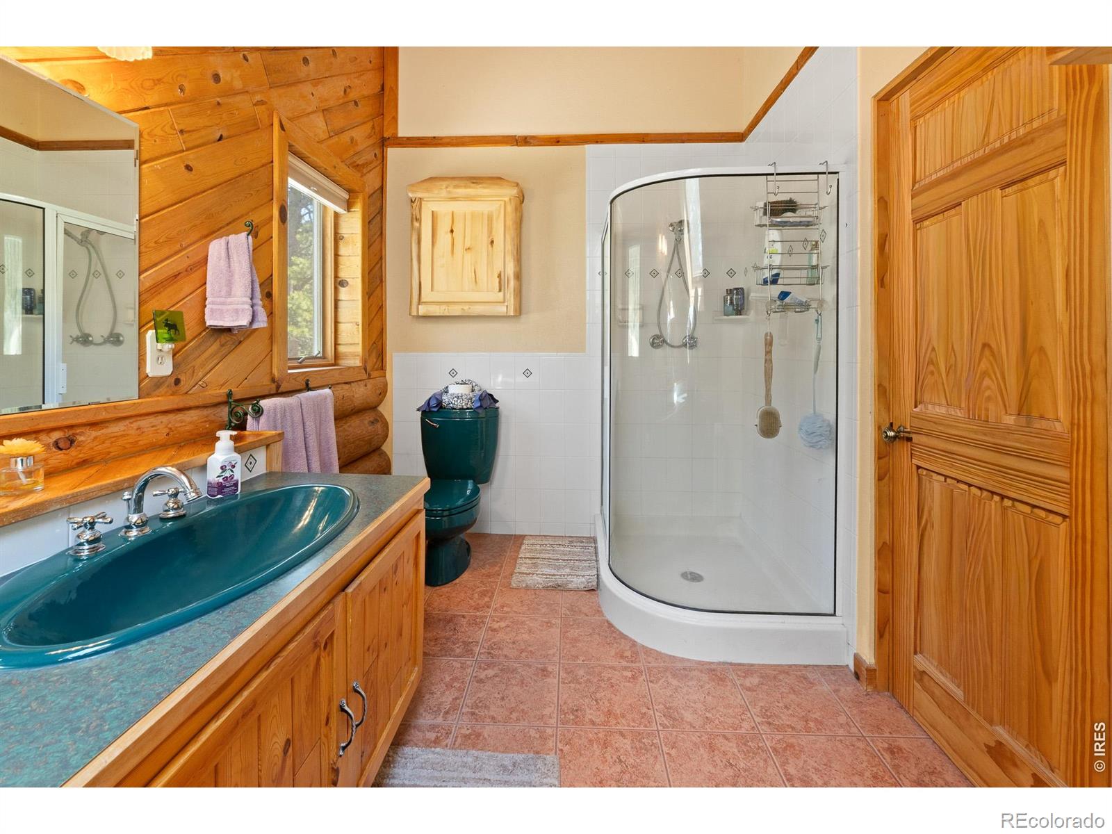 24 Sarsi Court Red Feather Lakes CO 80545
