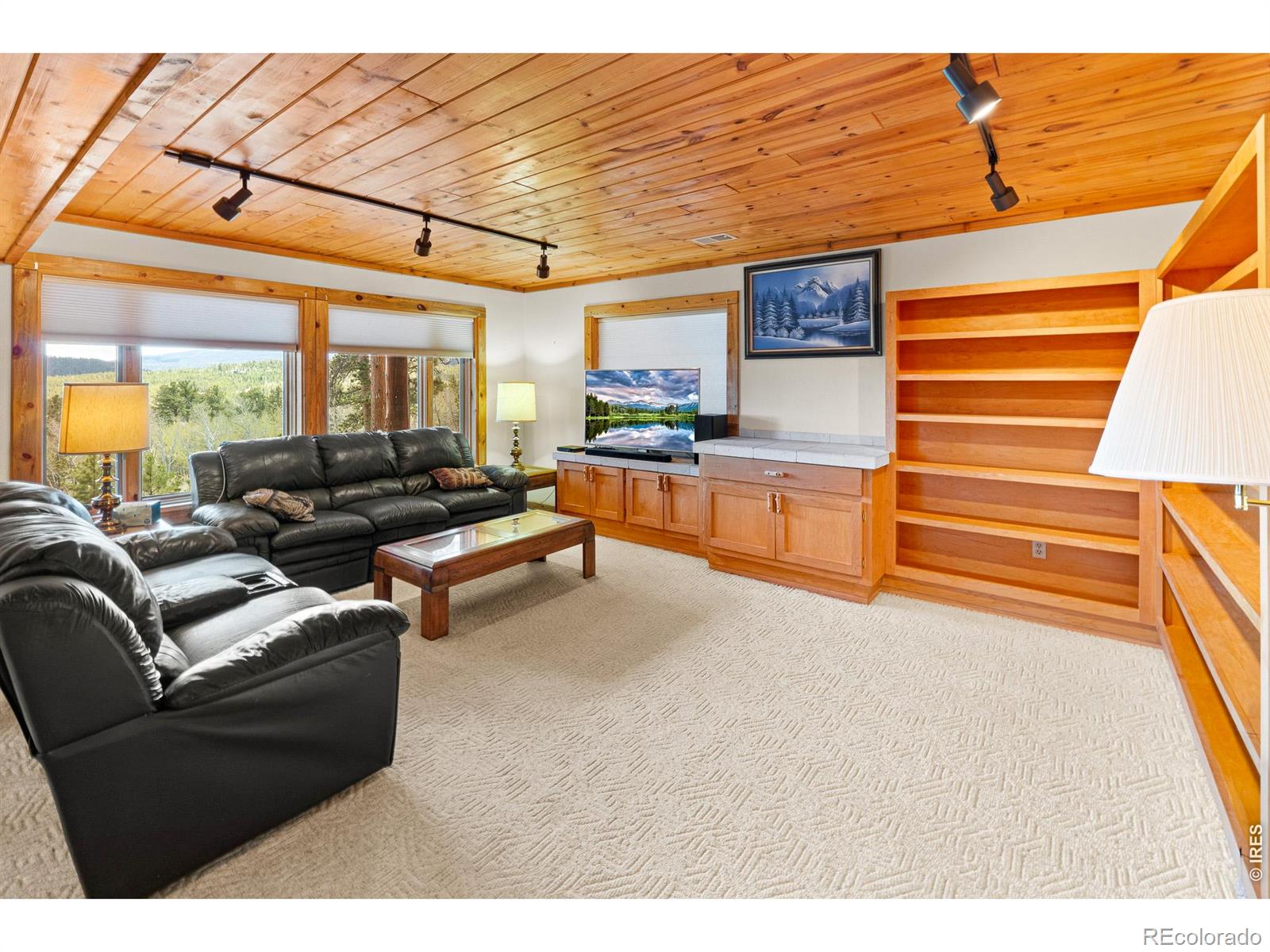 24 Sarsi Court Red Feather Lakes CO 80545