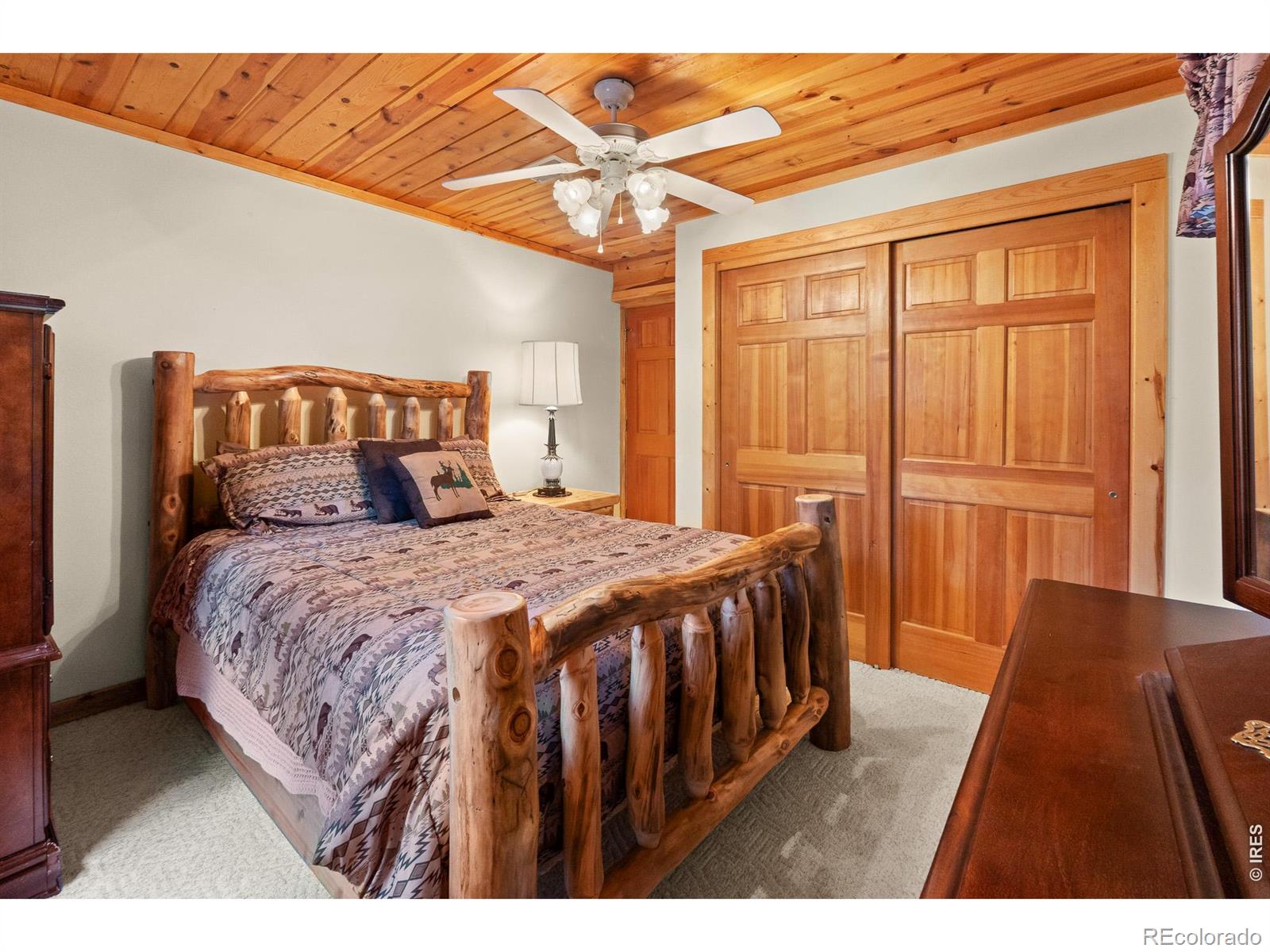24 Sarsi Court Red Feather Lakes CO 80545