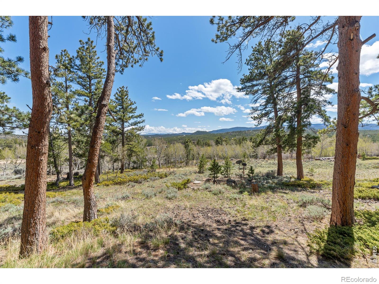 24 Sarsi Court Red Feather Lakes CO 80545