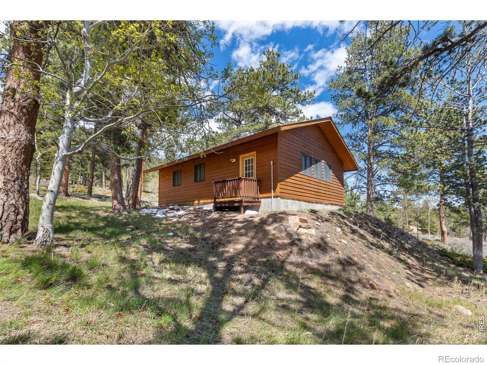 24 Sarsi Court Red Feather Lakes CO 80545
