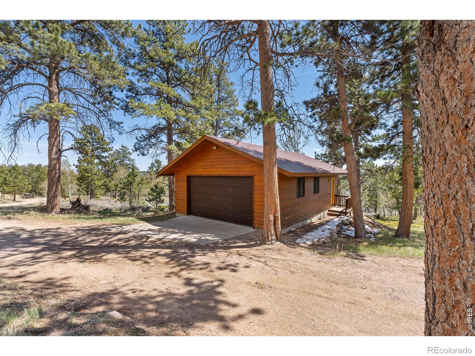 24 Sarsi Court Red Feather Lakes CO 80545