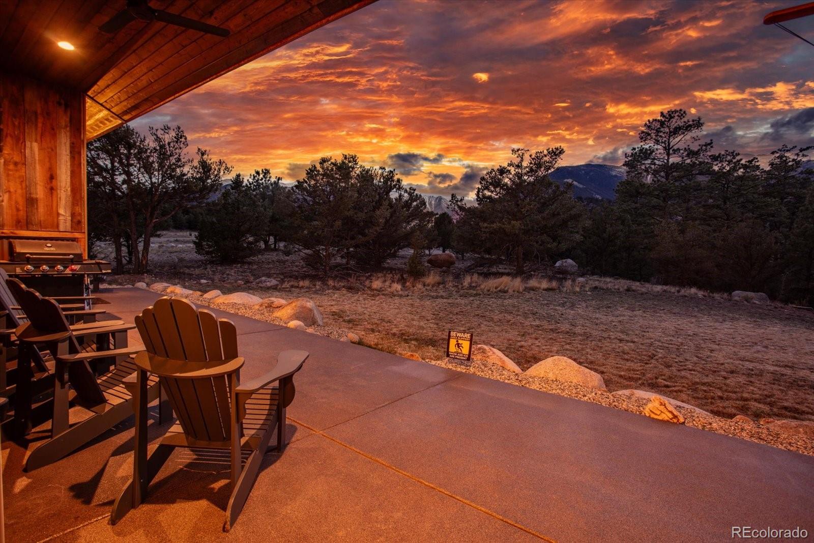 14982 Mary Murphy Drive Nathrop CO 81236