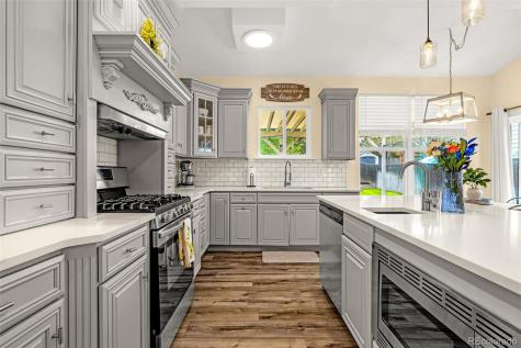 16128 Amber Rock Court Parker CO 80134