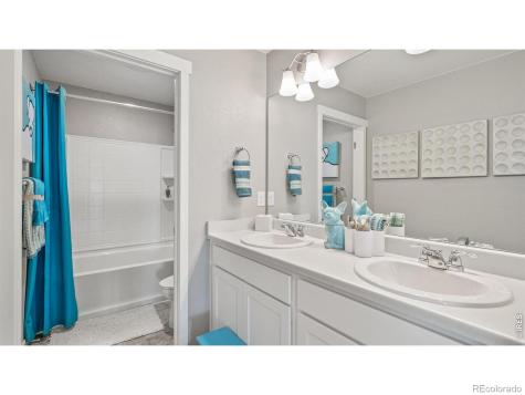 5684 Gelbray Place Windsor CO 80528