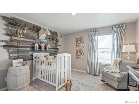 5684 Gelbray Place Windsor CO 80528
