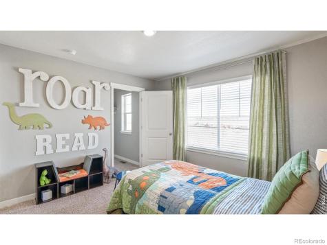 5684 Gelbray Place Windsor CO 80528