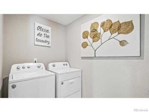 5684 Gelbray Place Windsor CO 80528