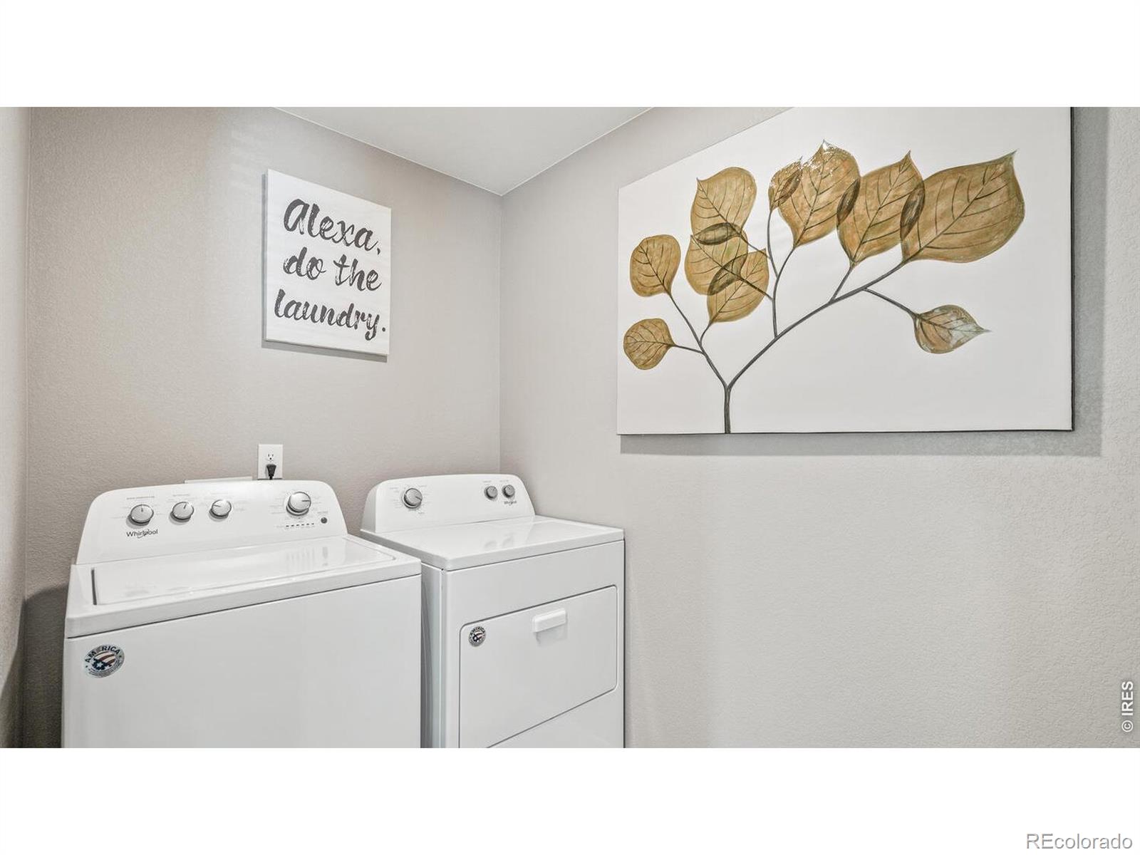 5684 Gelbray Place Windsor CO 80528