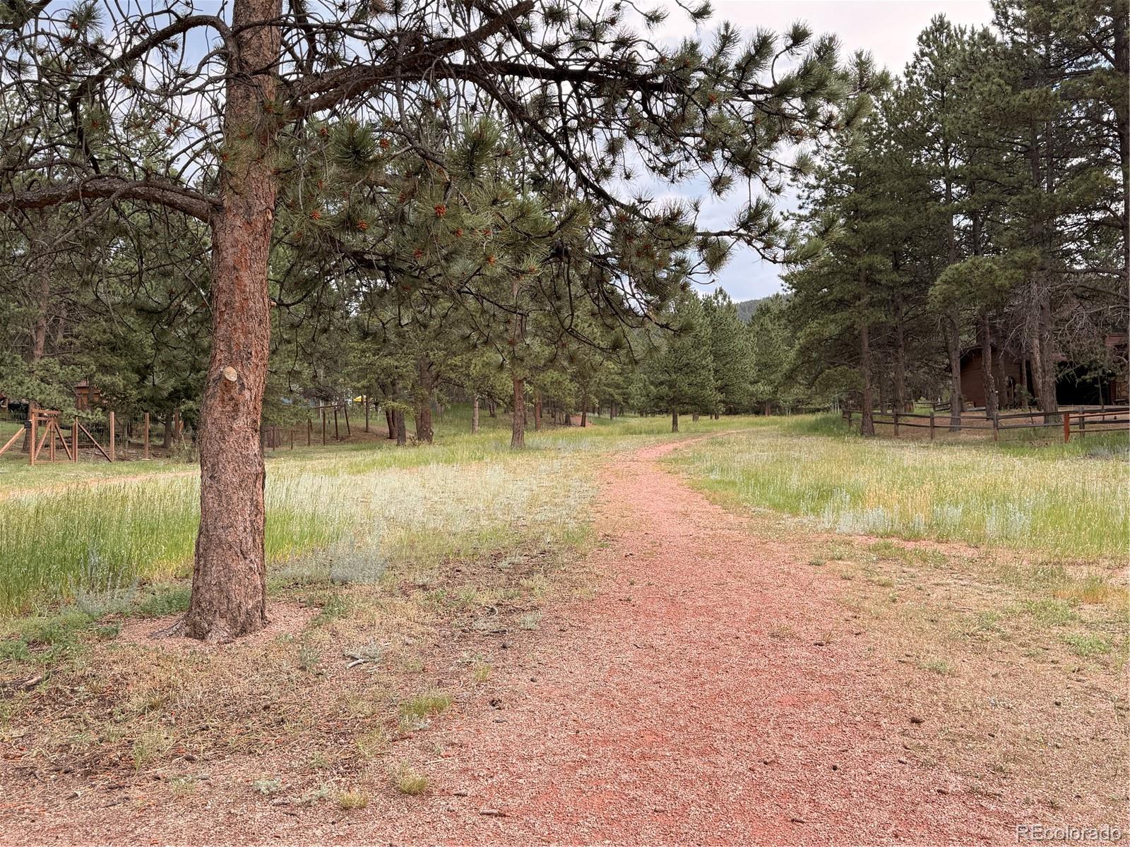 2020 Valley View Drive Woodland Park CO 80863