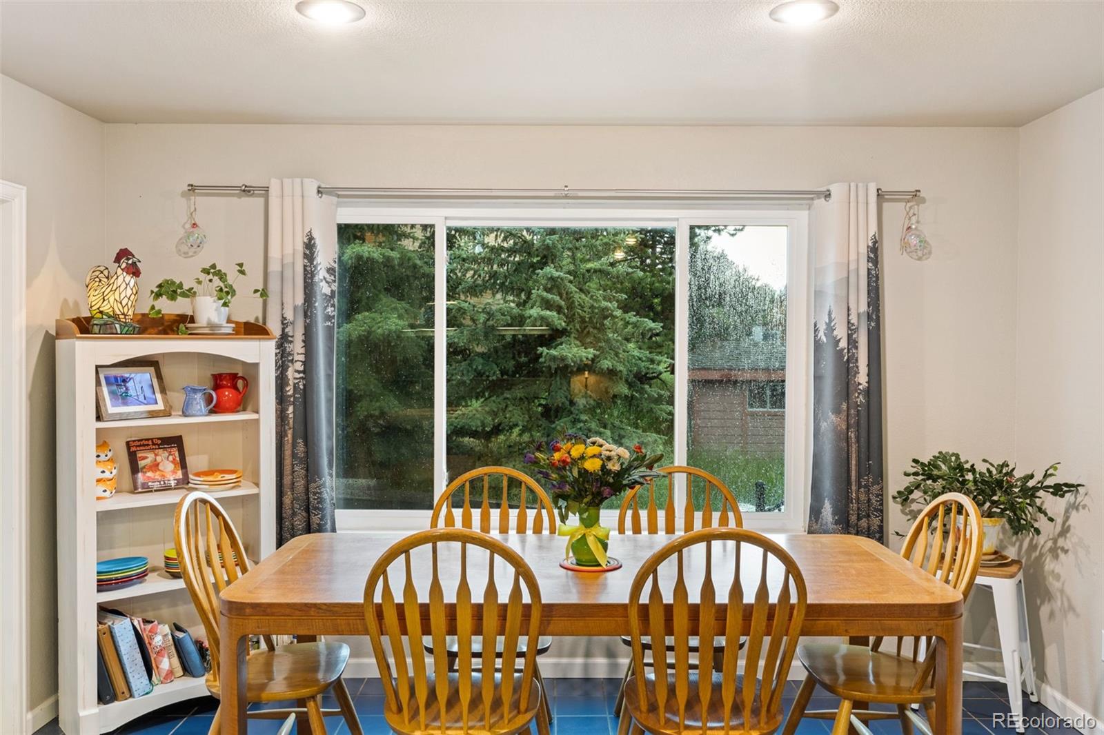 2020 Valley View Drive Woodland Park CO 80863