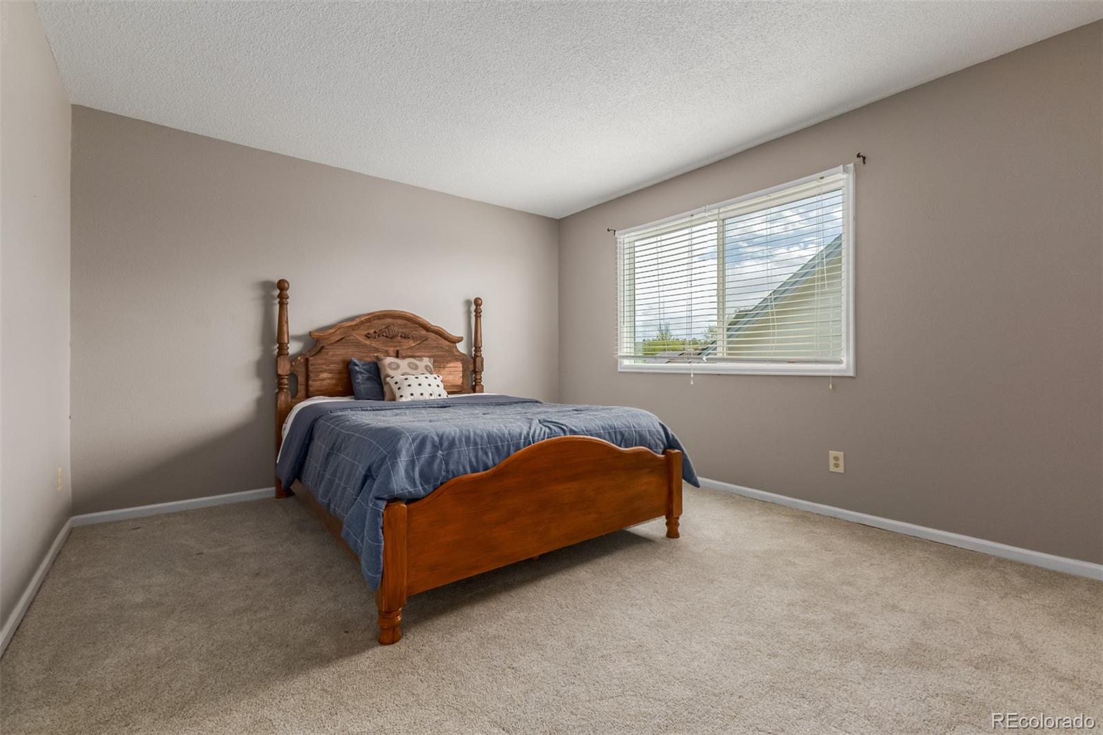 9407 Harvard Drive Highlands Ranch CO 80130