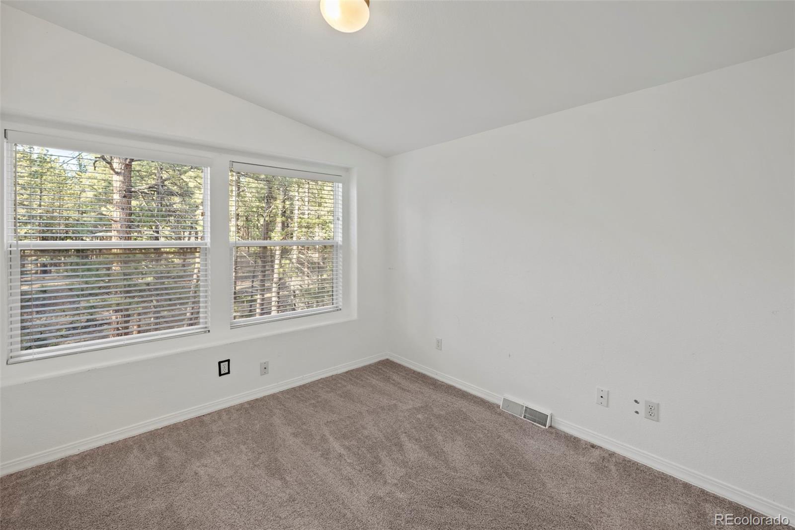46 Kingston Circle Florissant CO 80816