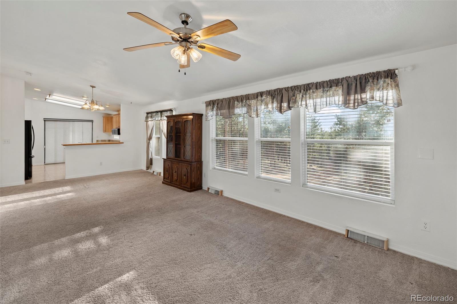 46 Kingston Circle Florissant CO 80816