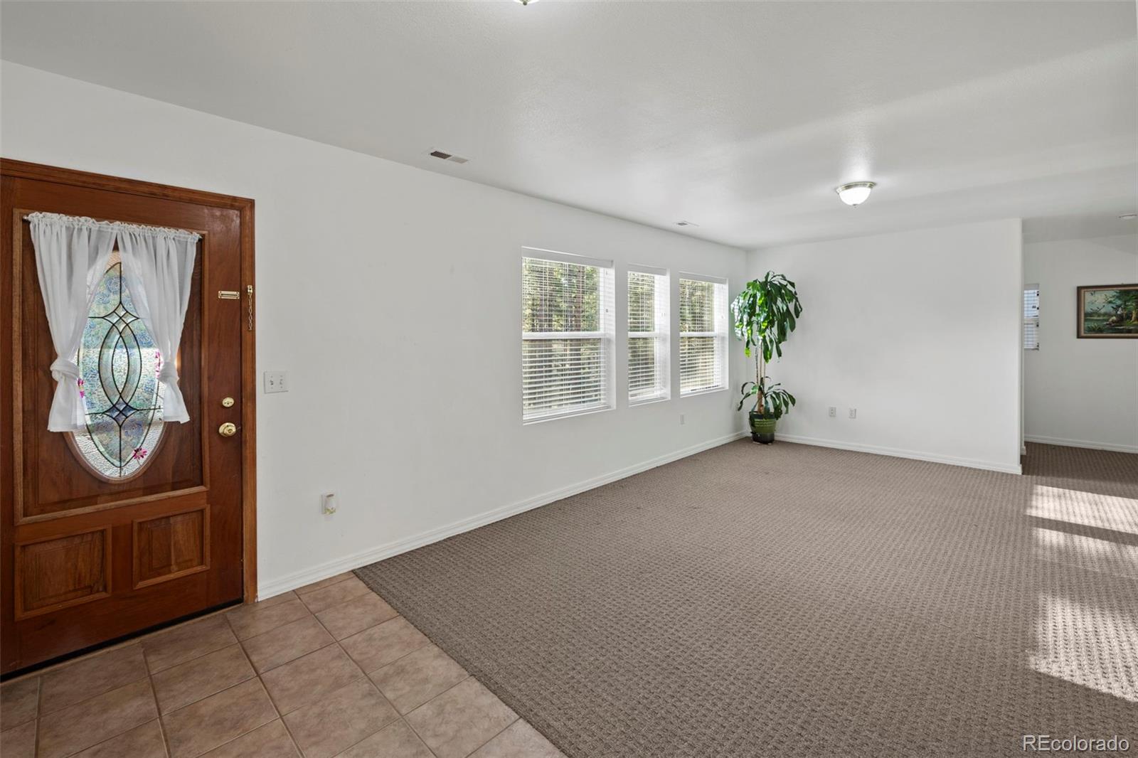 46 Kingston Circle Florissant CO 80816