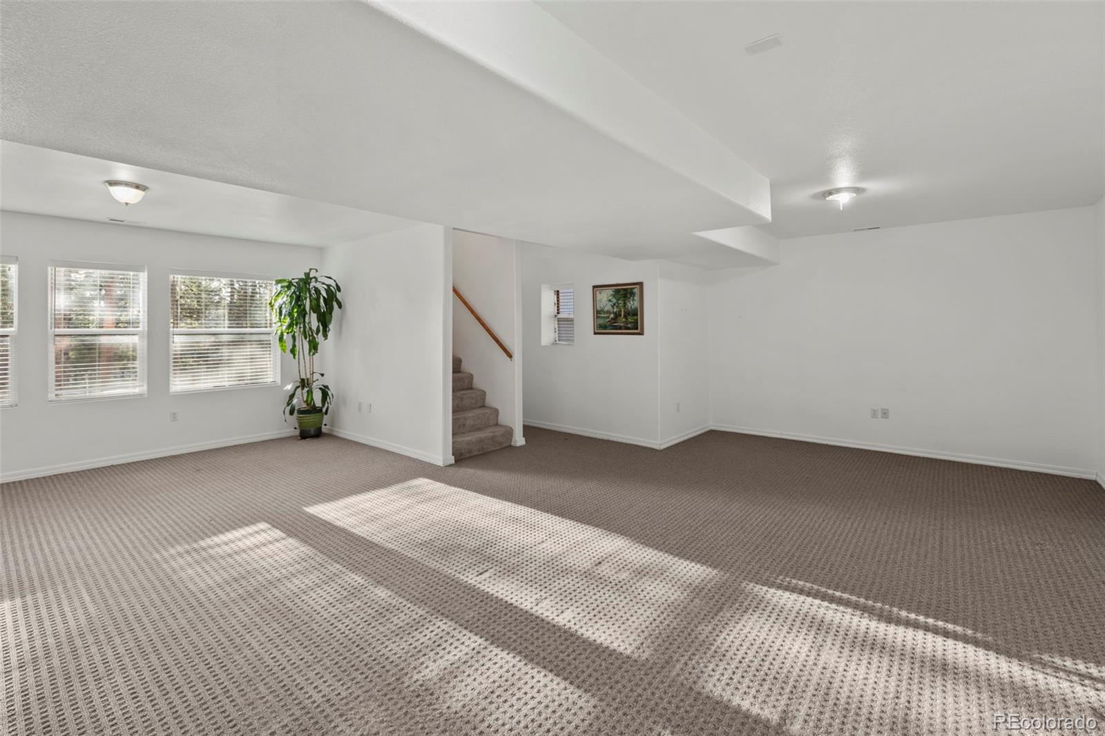 46 Kingston Circle Florissant CO 80816