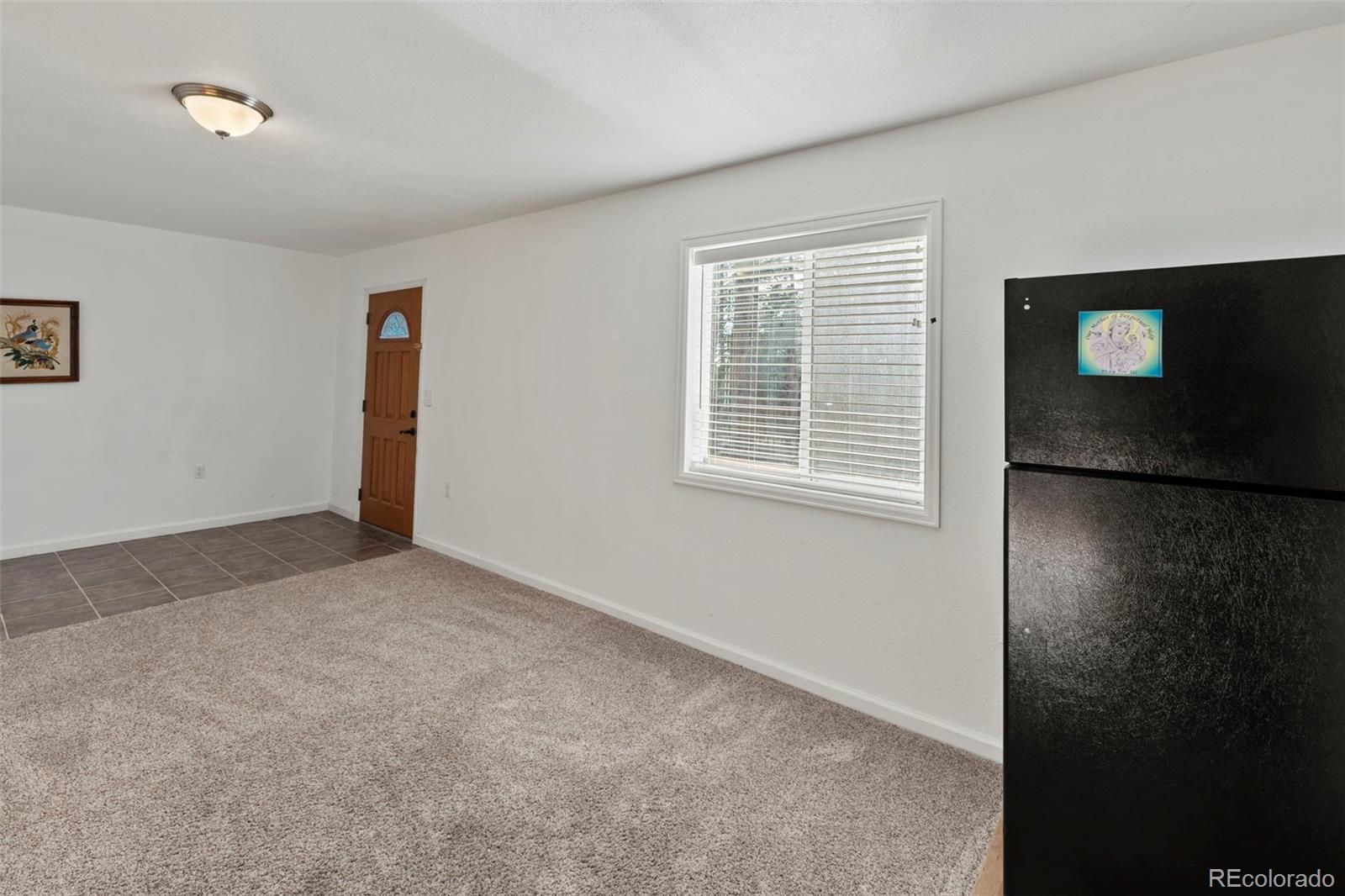 46 Kingston Circle Florissant CO 80816