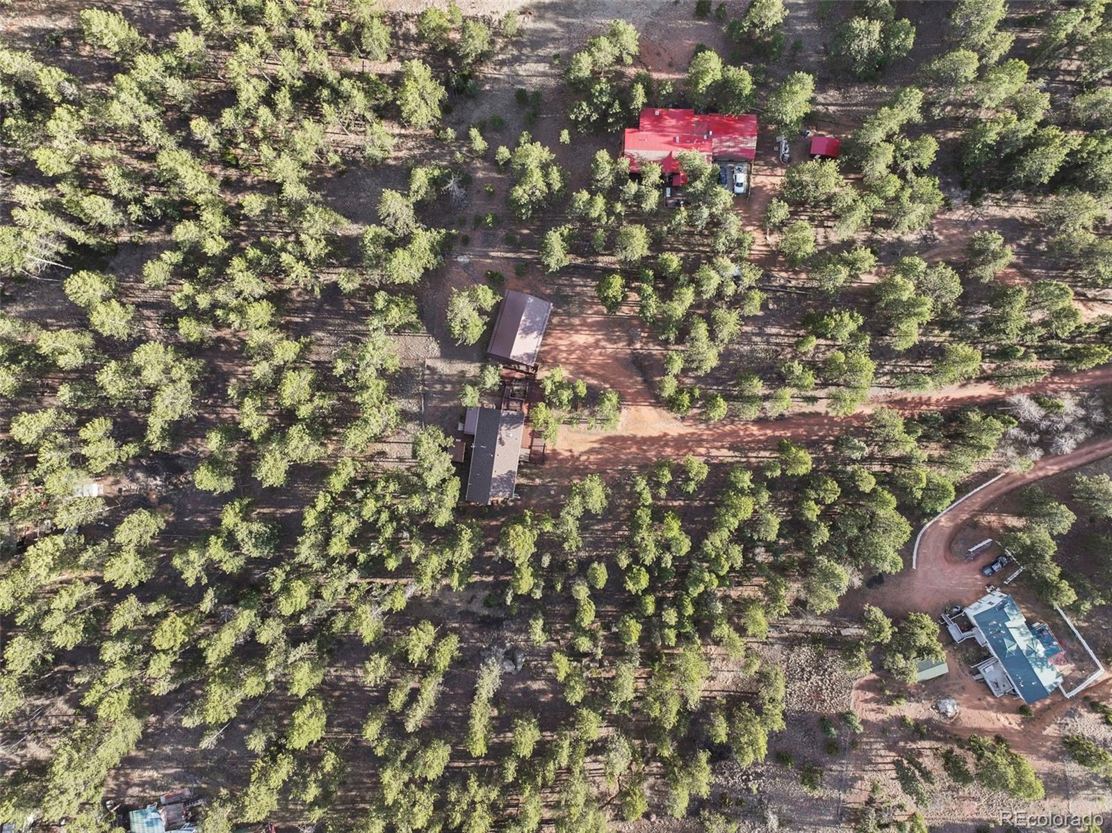 46 Kingston Circle Florissant CO 80816