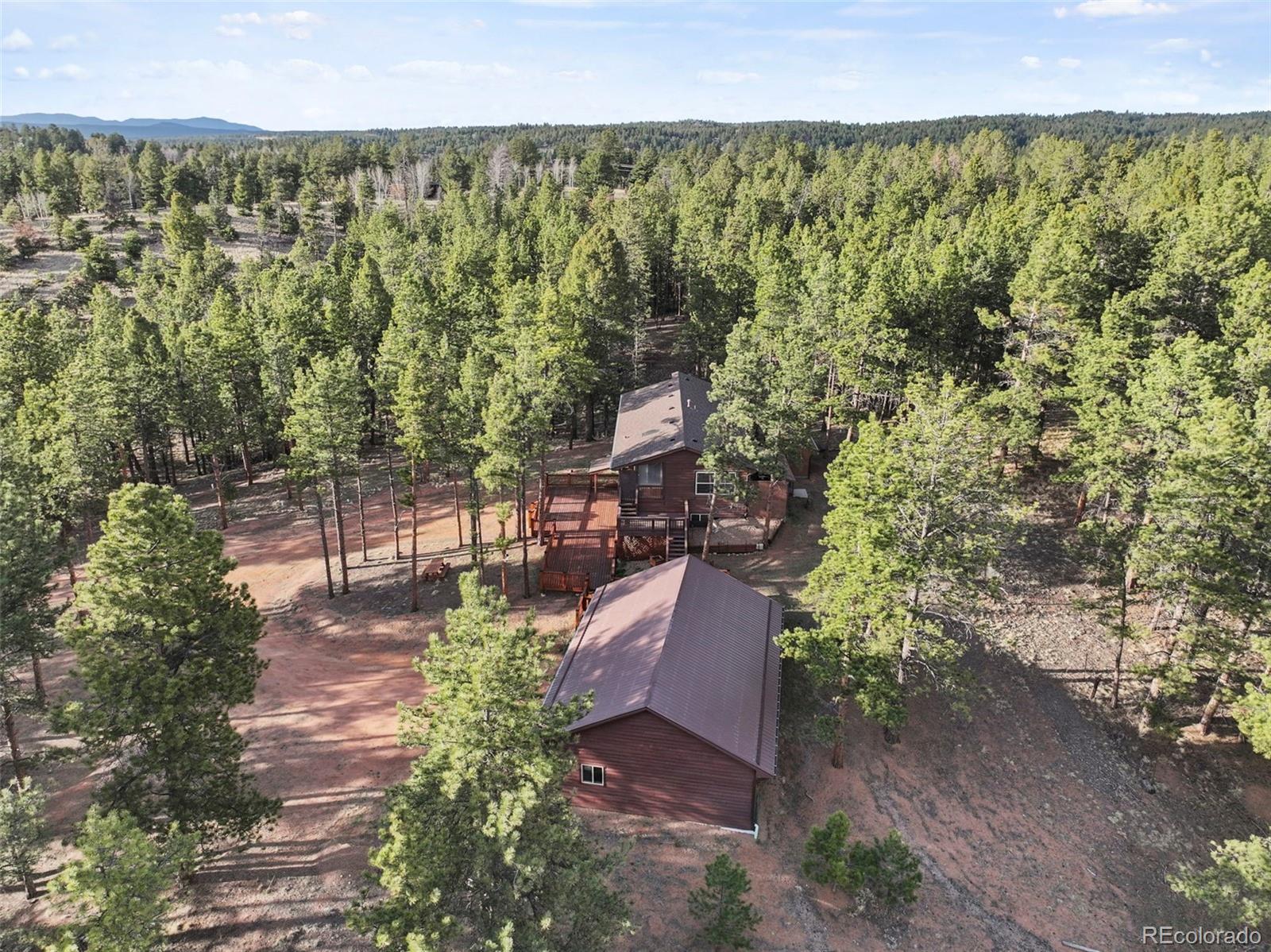 46 Kingston Circle Florissant CO 80816