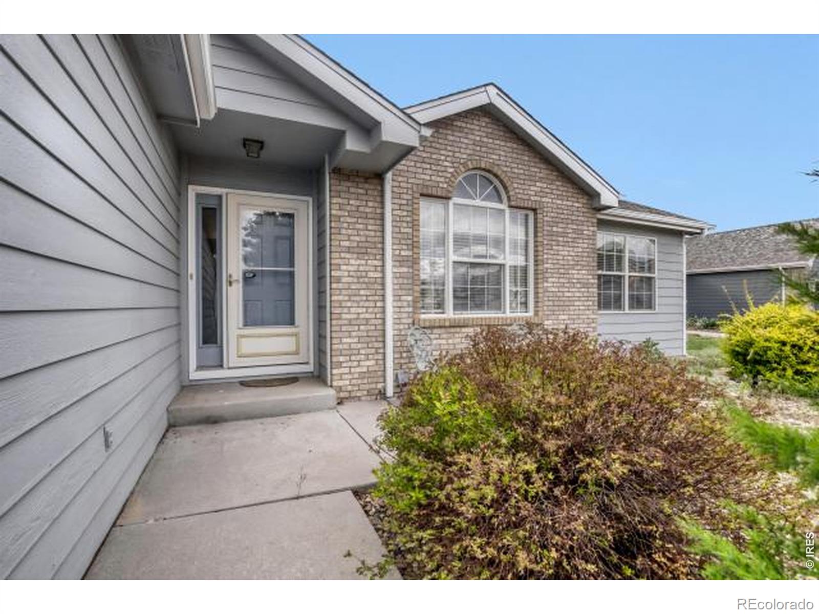 1012 Basin Court Windsor CO 80550