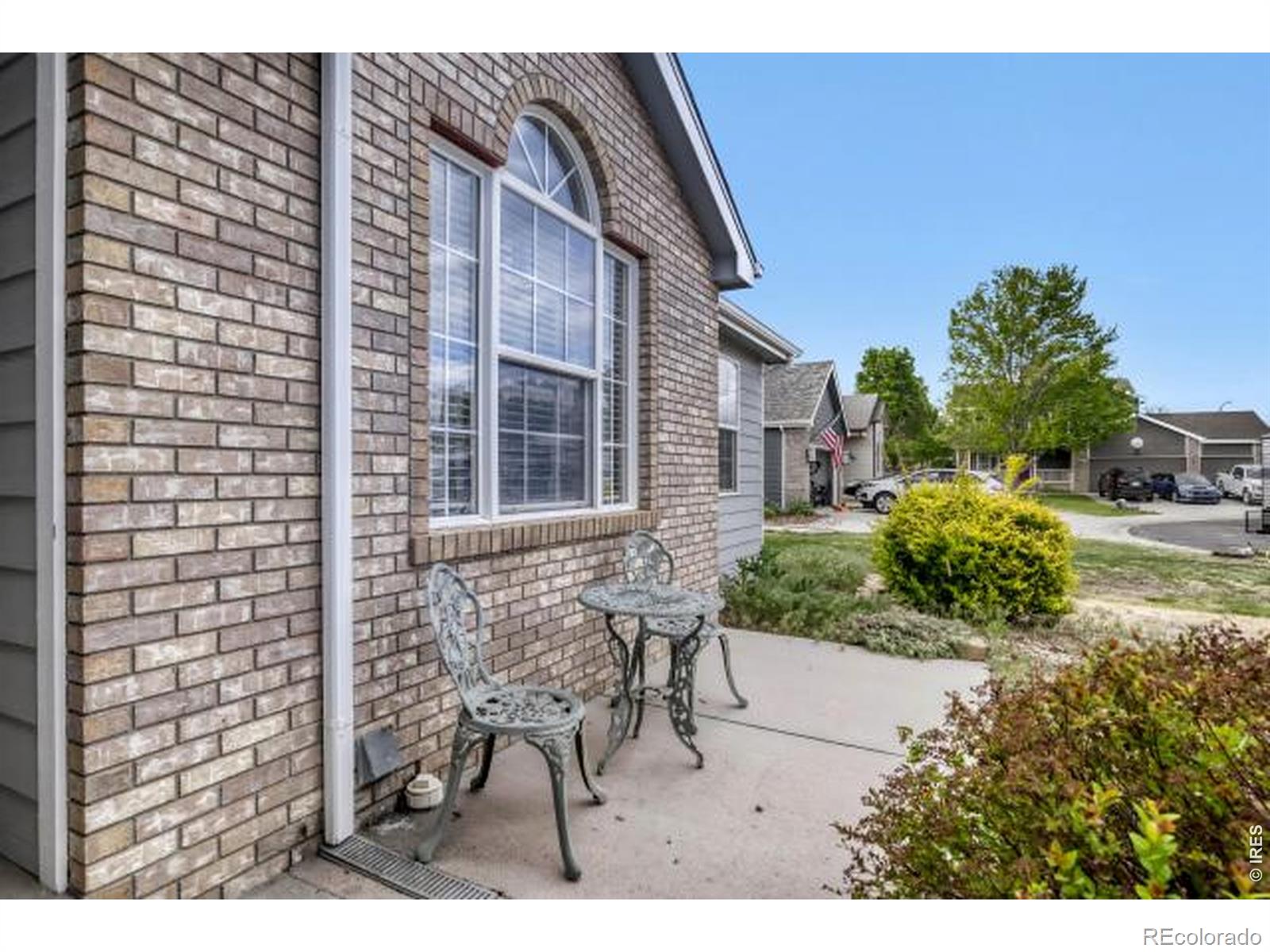 1012 Basin Court Windsor CO 80550
