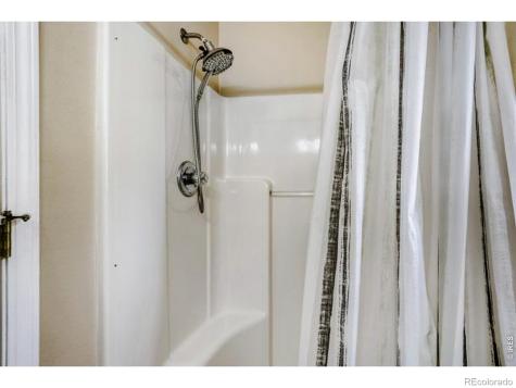 1012 Basin Court Windsor CO 80550
