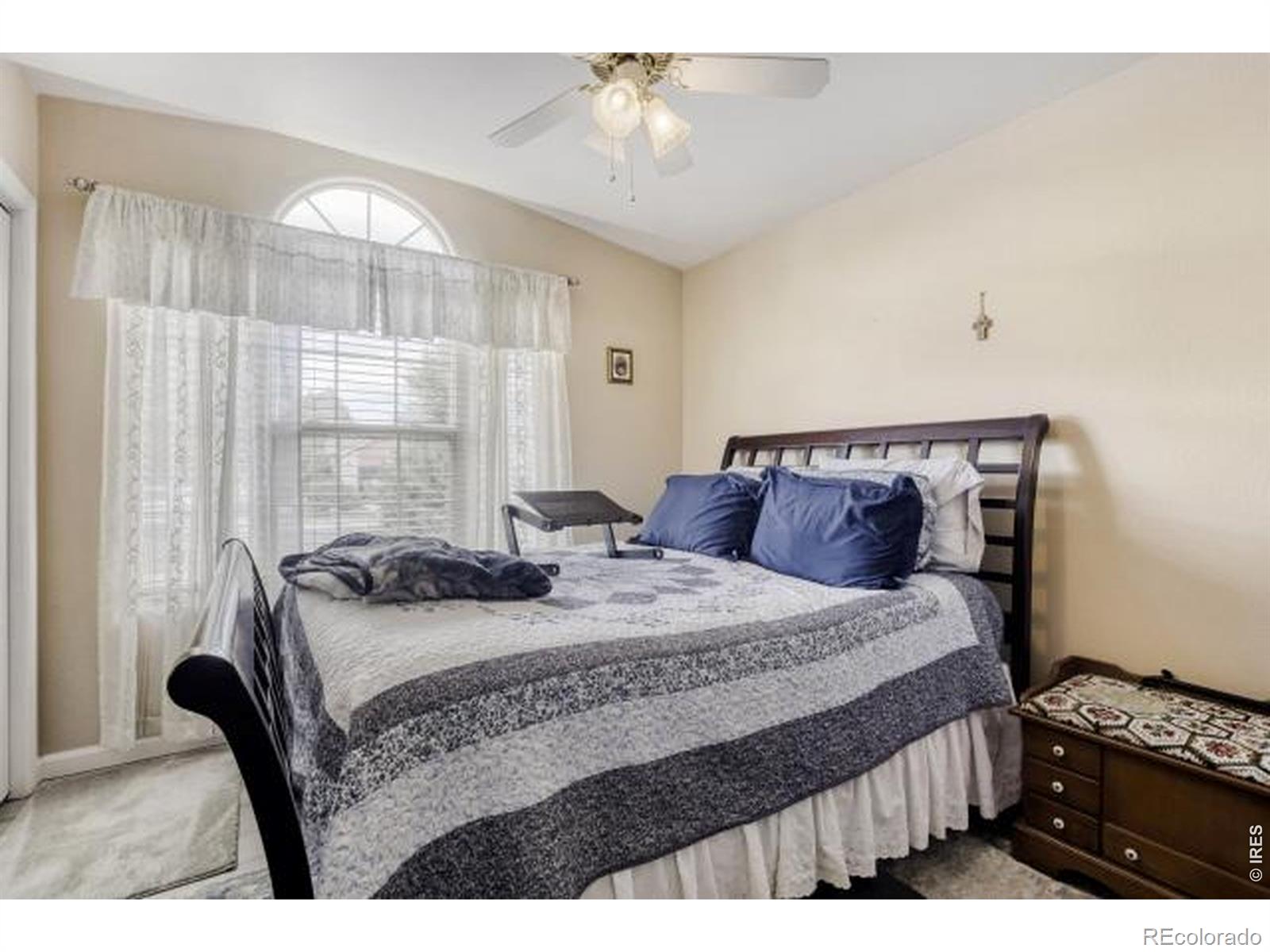 1012 Basin Court Windsor CO 80550
