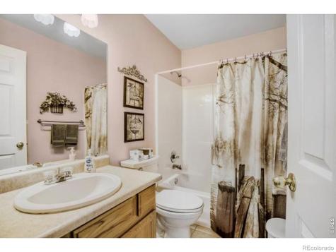 1012 Basin Court Windsor CO 80550