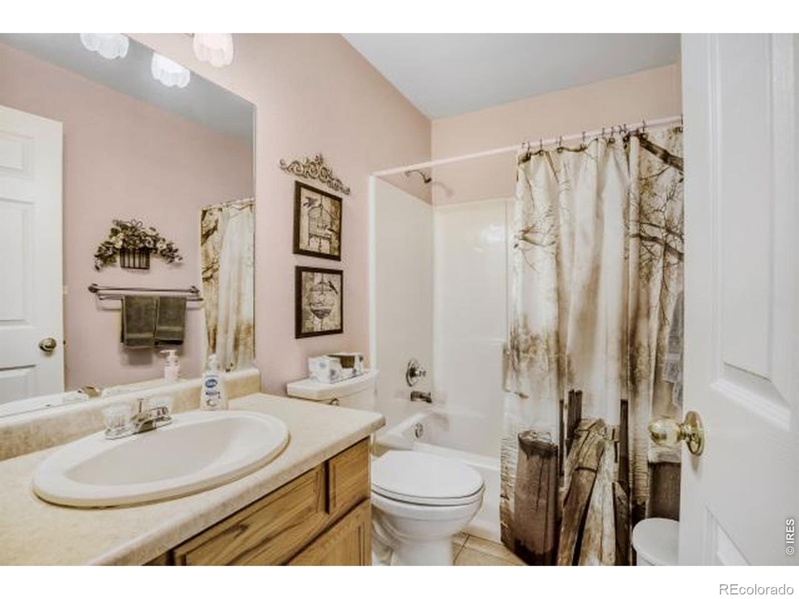 1012 Basin Court Windsor CO 80550