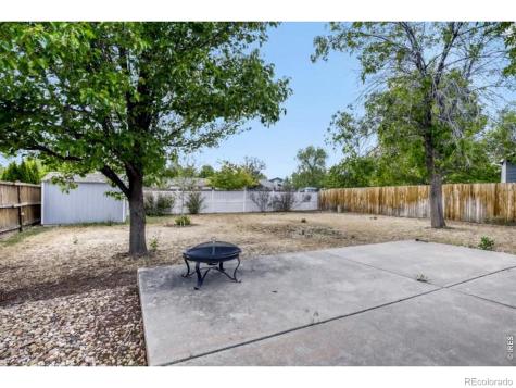 1012 Basin Court Windsor CO 80550