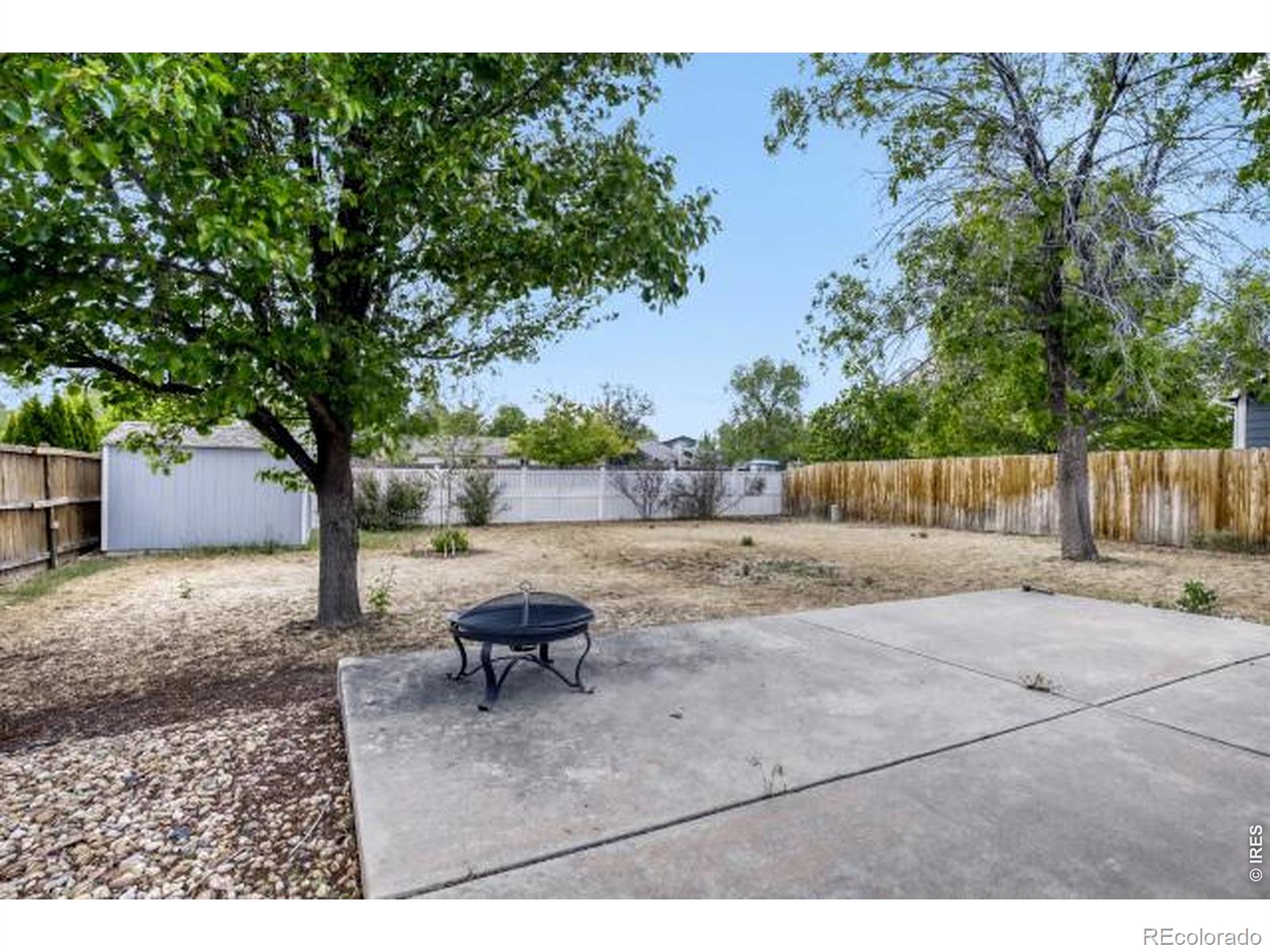 1012 Basin Court Windsor CO 80550