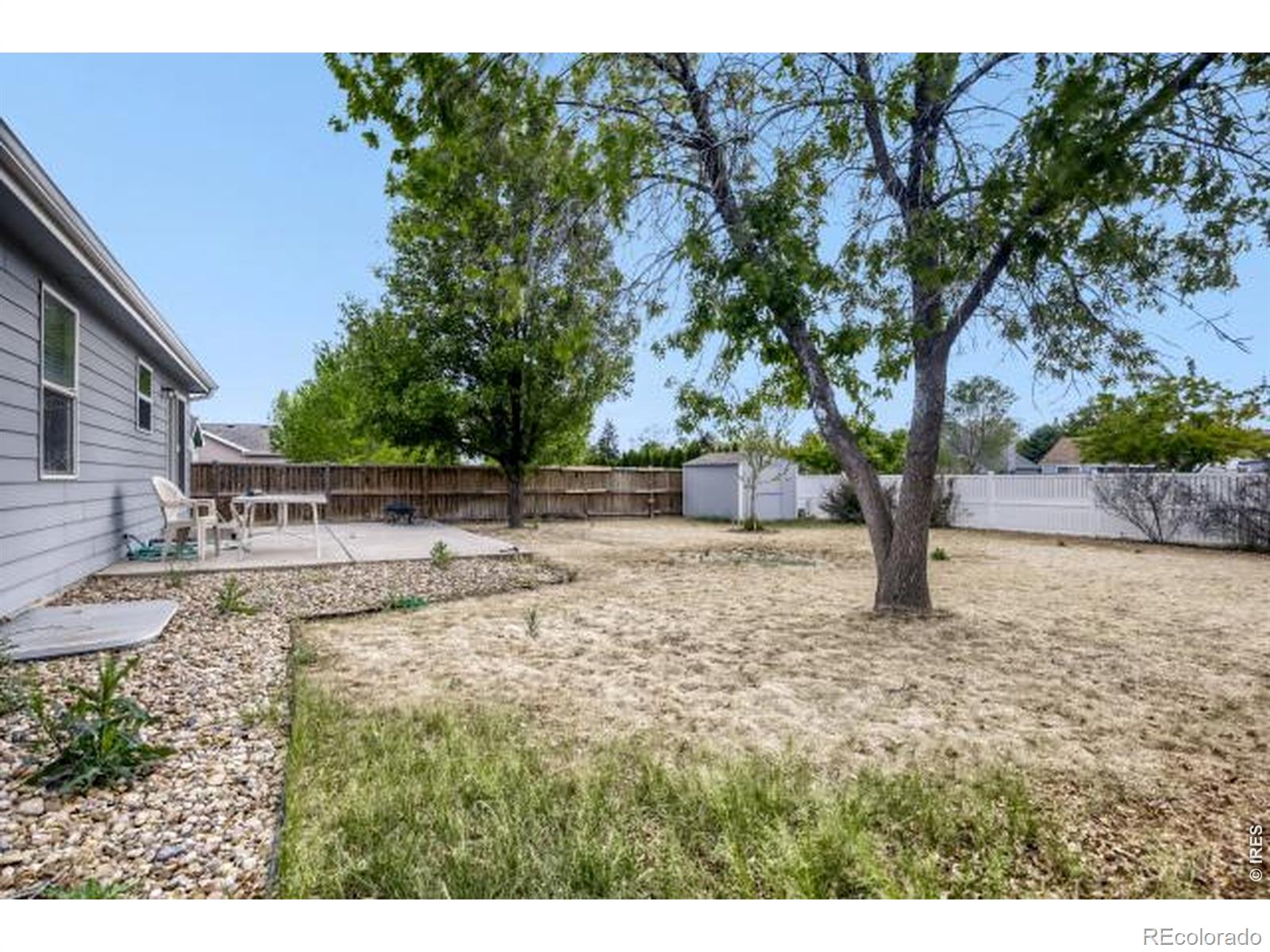 1012 Basin Court Windsor CO 80550