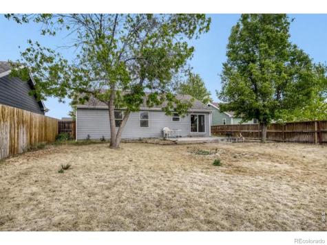 1012 Basin Court Windsor CO 80550