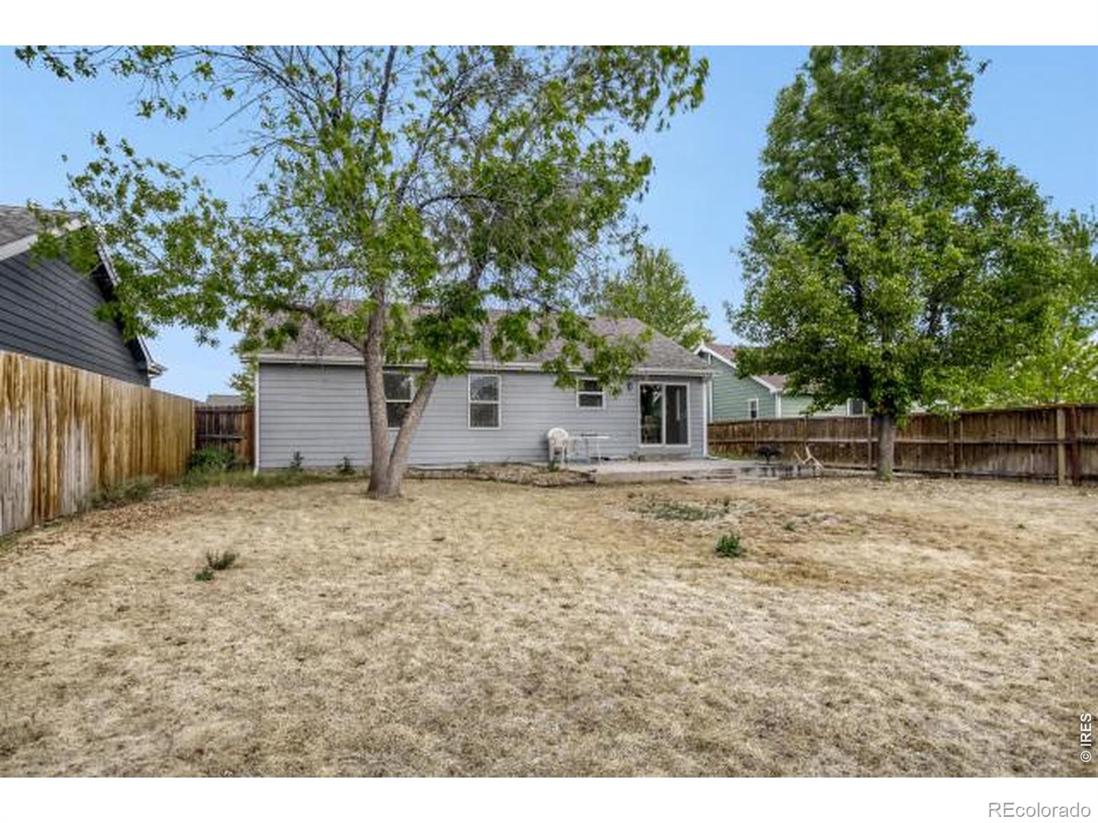 1012 Basin Court Windsor CO 80550
