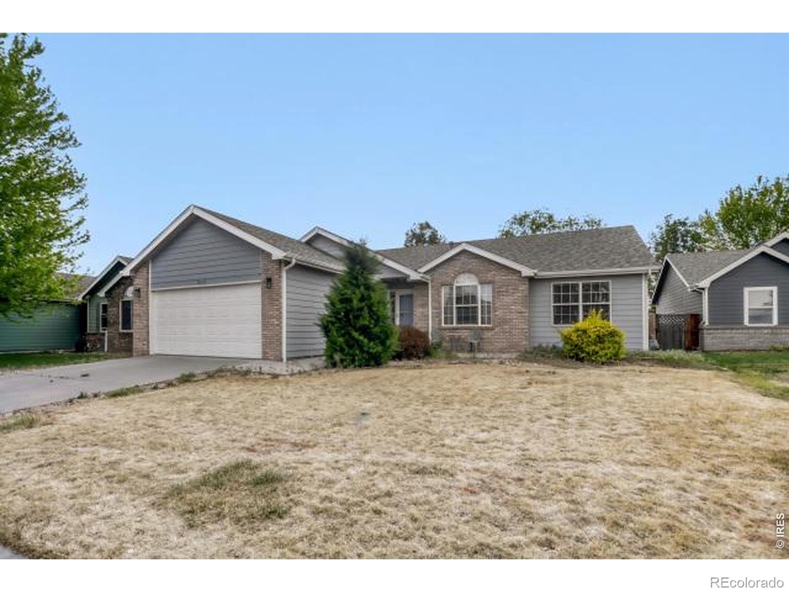 1012 Basin Court Windsor CO 80550