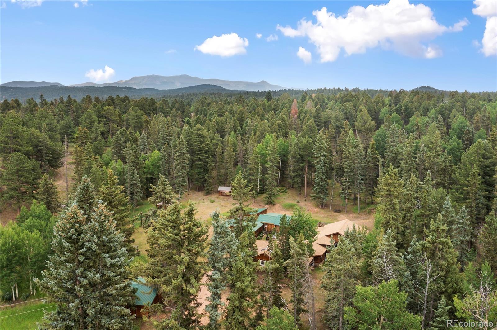 135 Daniwood Grove Florissant CO 80816
