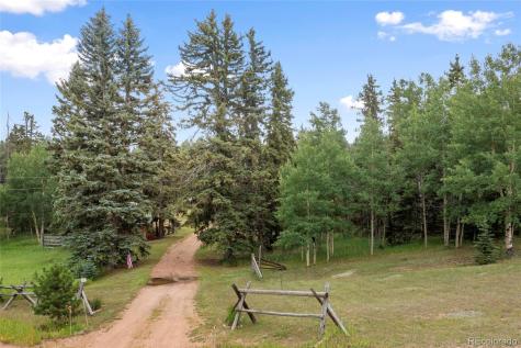 135 Daniwood Grove Florissant CO 80816