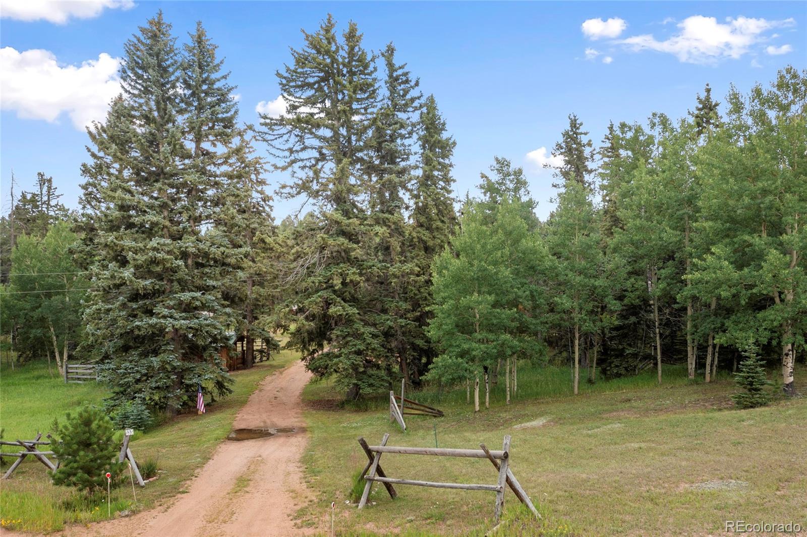 135 Daniwood Grove Florissant CO 80816