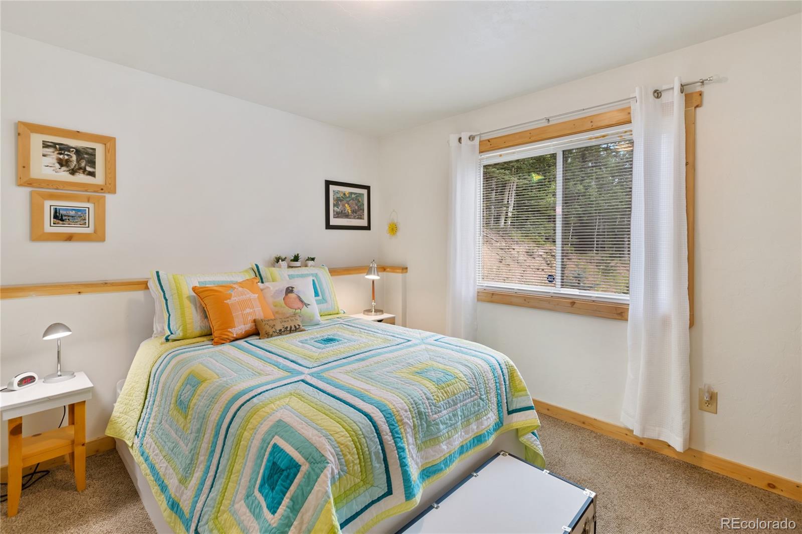 135 Daniwood Grove Florissant CO 80816