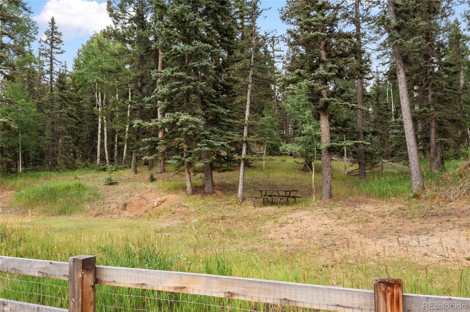 135 Daniwood Grove Florissant CO 80816
