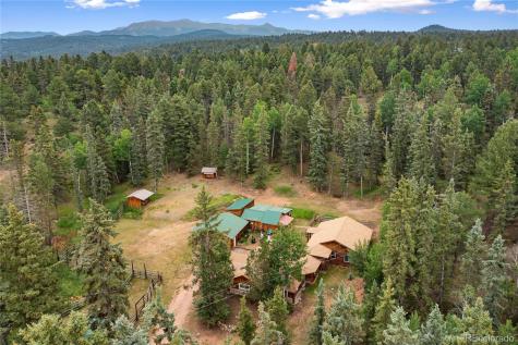 135 Daniwood Grove Florissant CO 80816
