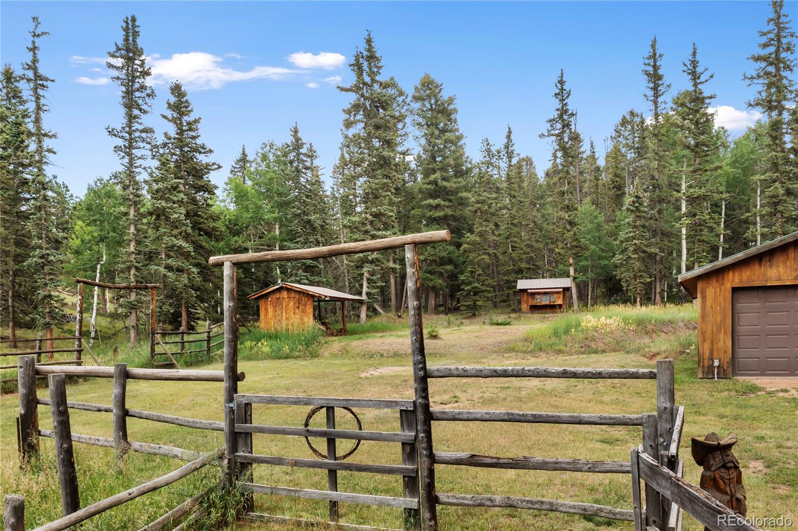 135 Daniwood Grove Florissant CO 80816