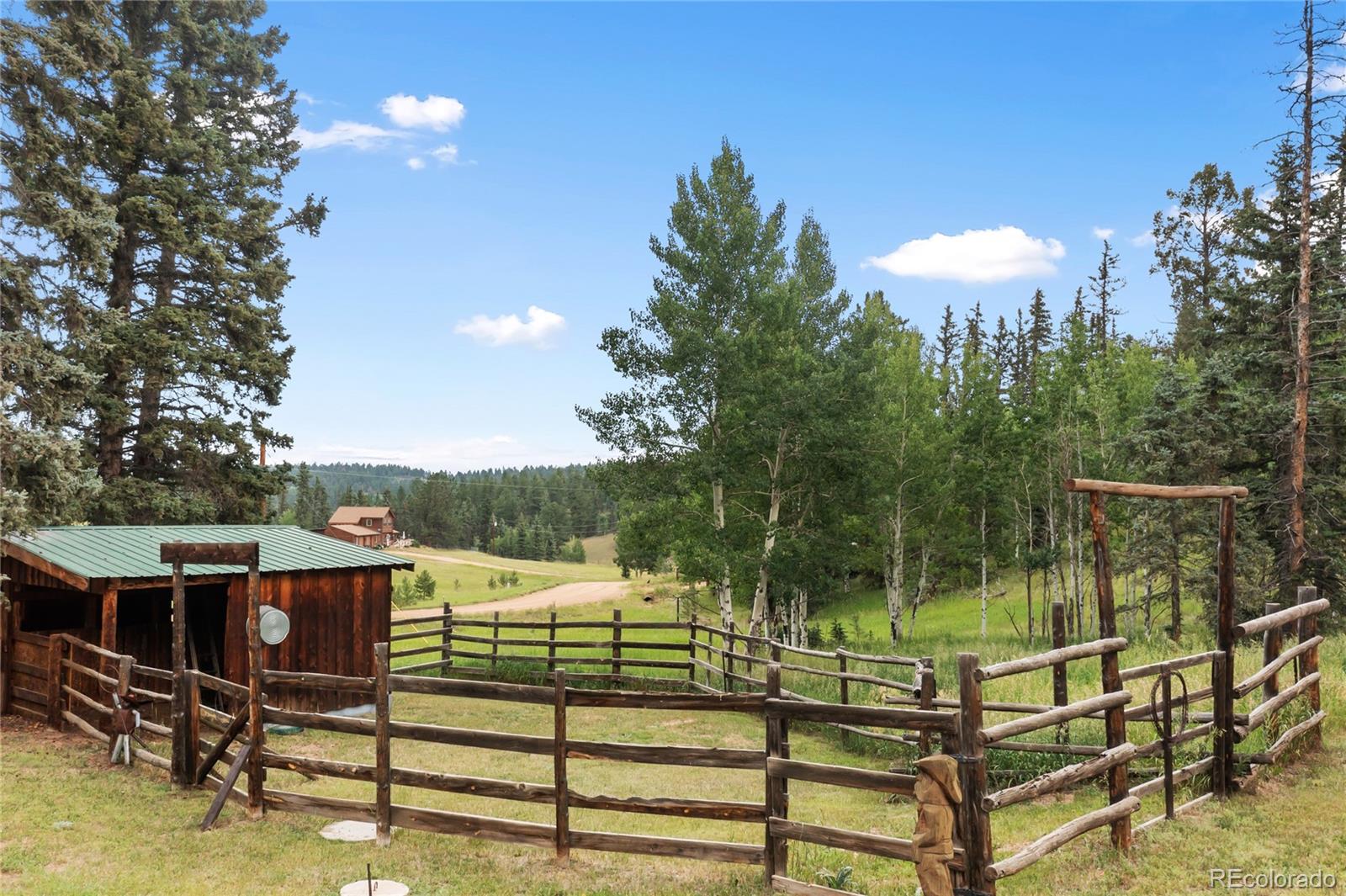 135 Daniwood Grove Florissant CO 80816