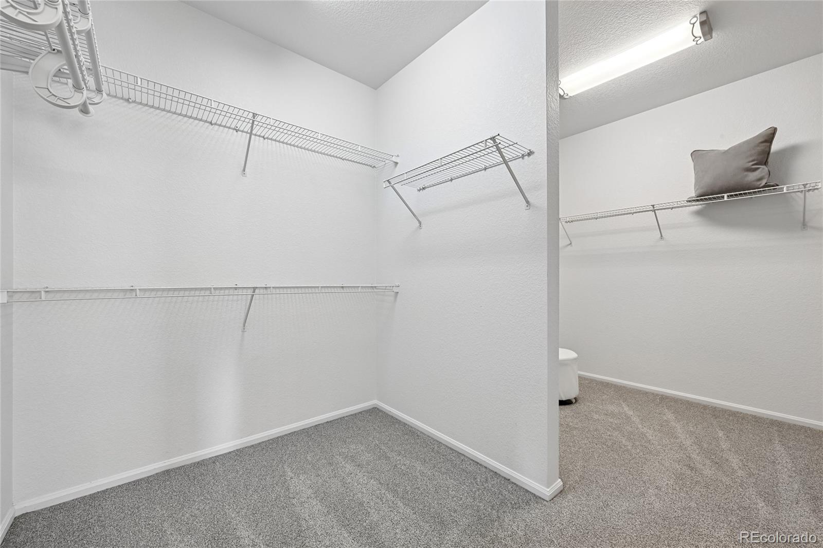 21665 Mount Elbert Place Parker CO 80138