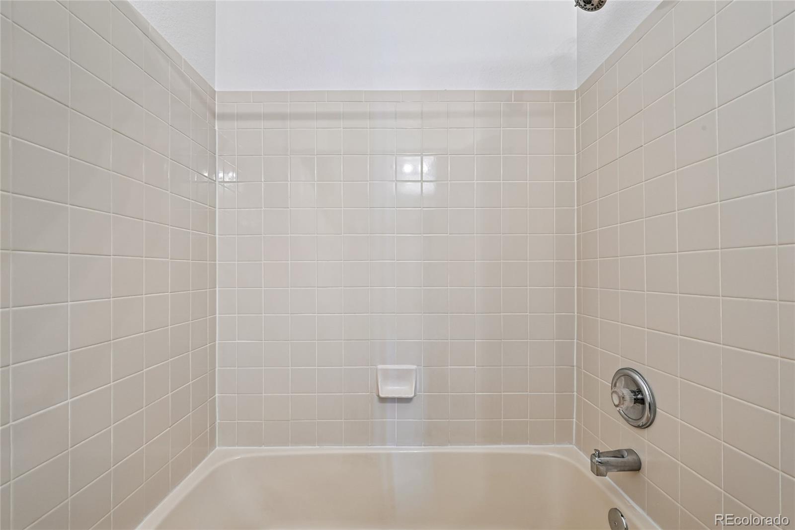 21665 Mount Elbert Place Parker CO 80138