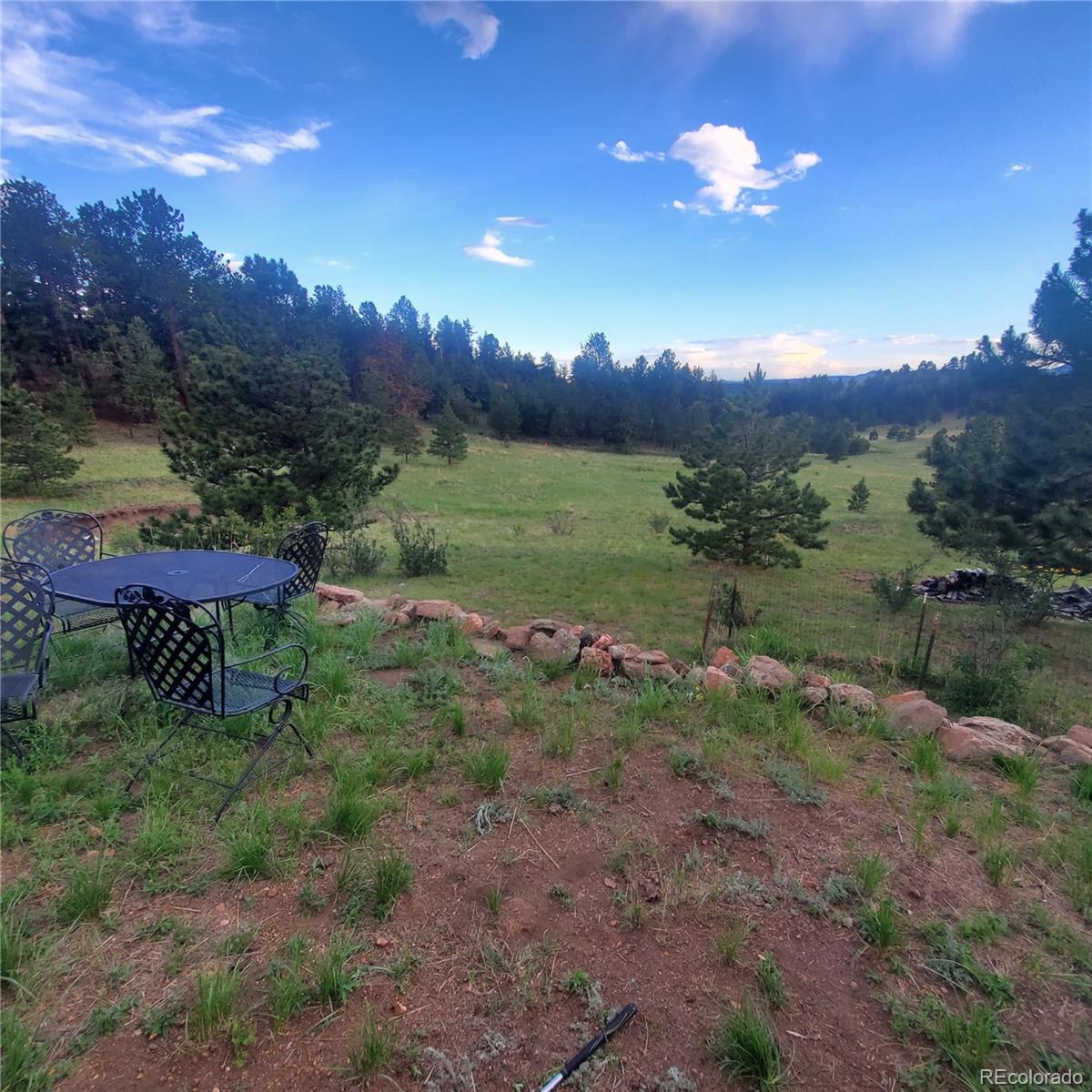 958 Meadows Lane Florissant CO 80820