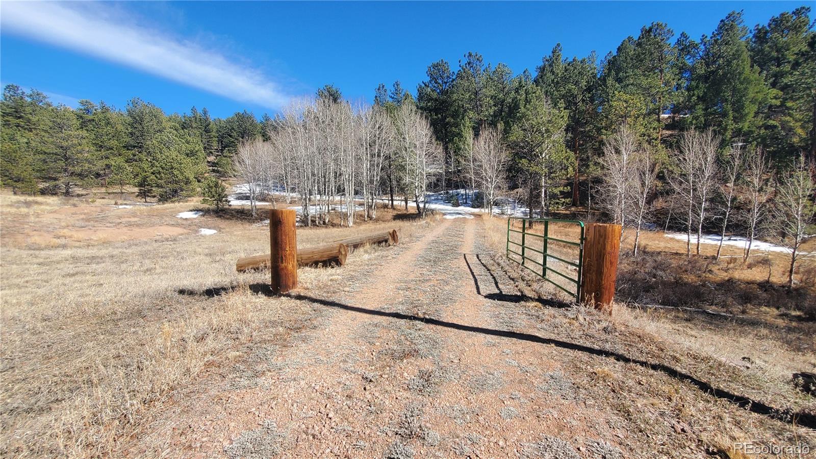 958 Meadows Lane Florissant CO 80820