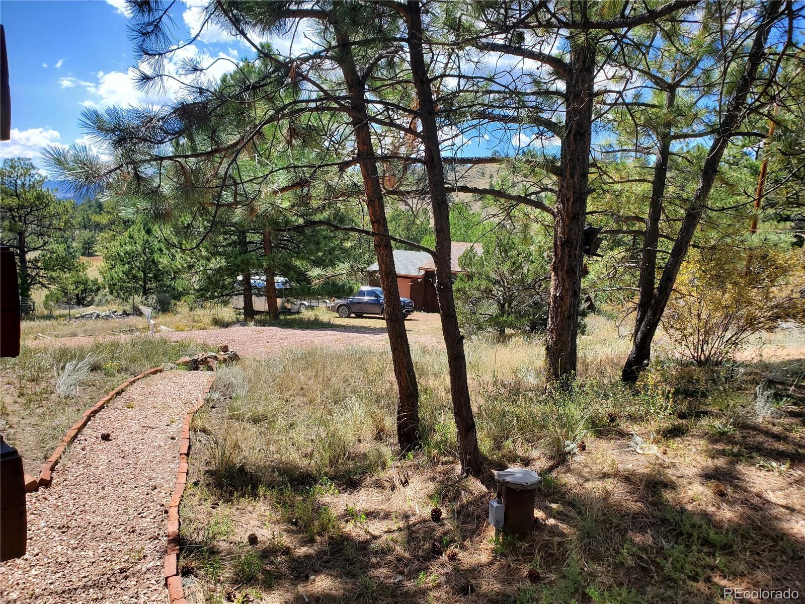 958 Meadows Lane Florissant CO 80820