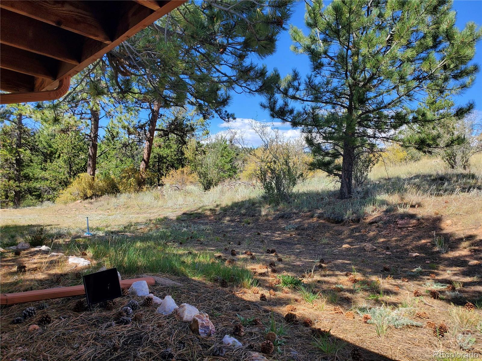 958 Meadows Lane Florissant CO 80820