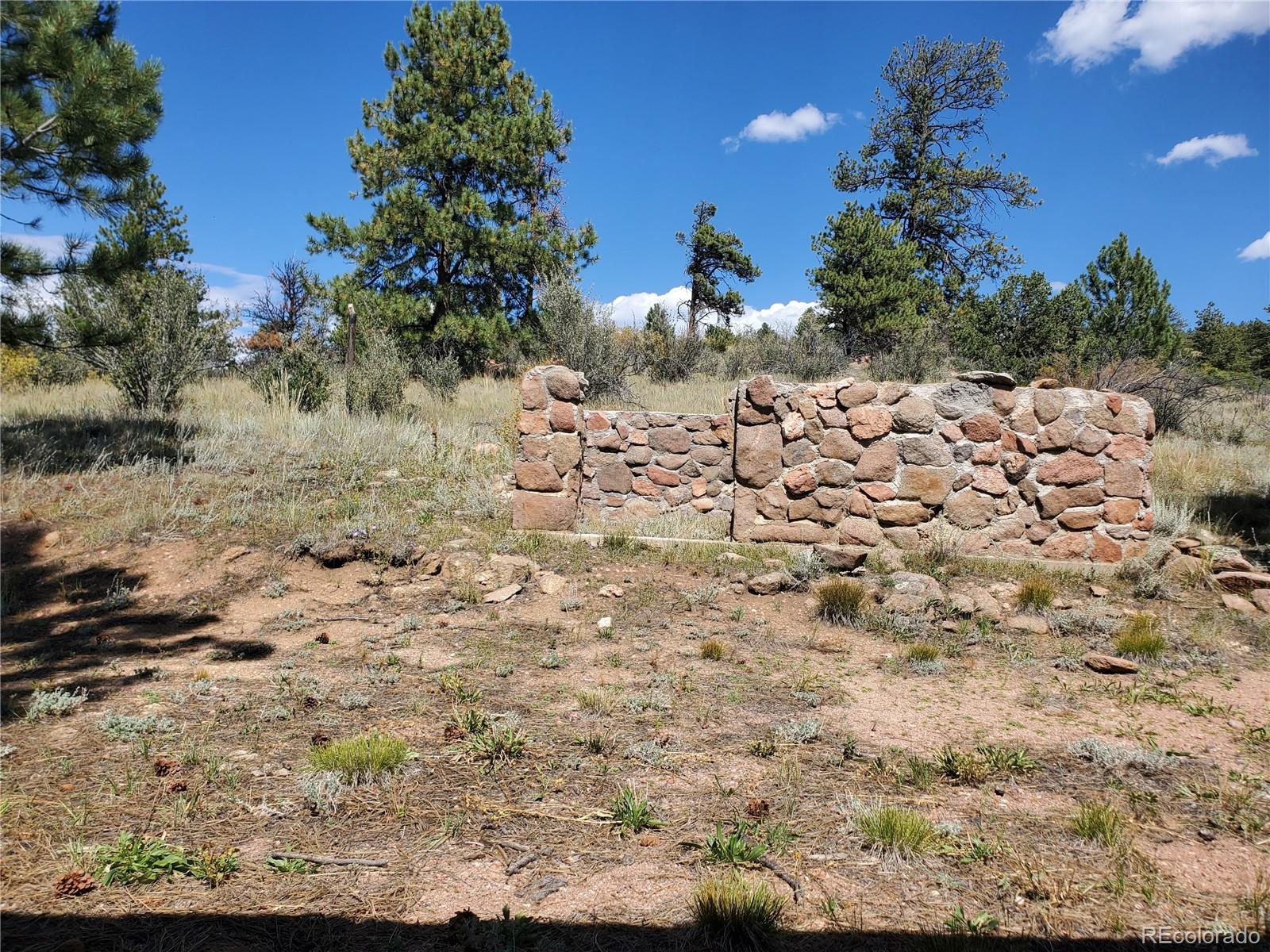 958 Meadows Lane Florissant CO 80820